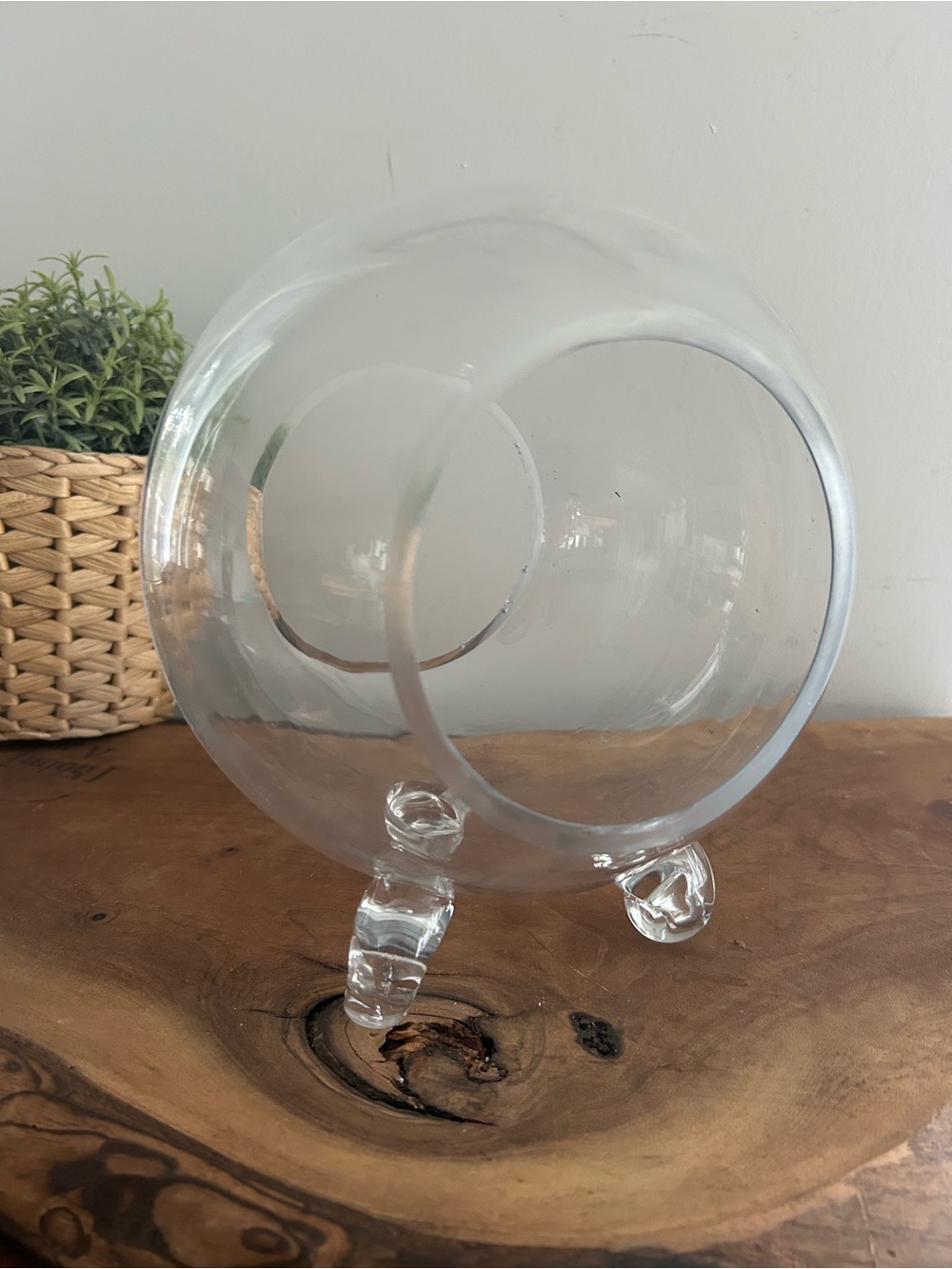 Round Glass Open Fish Bowl Style Terrarium with Footed feet